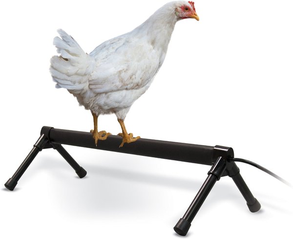 K&H Pet Products Thermo Chicken Perch, Black