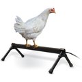 K&H Pet Products Thermo Chicken Perch, Black, Large