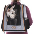 K&H Pet Products Dog Carrier Backpack, Gray