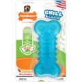 Nylabone Chill & Chew Freezer Chicken Flavored Dog Chew Toy, Medium