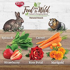 Kaytee Food From the Wild Natural Snack Rabbit Treats, 1-oz bag slide 2 of 9