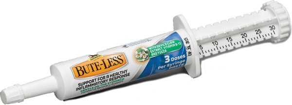 Absorbine Bute-Less Comfort & Recovery Cherry Flavor Paste Horse Supplement, 1-oz syringe slide 1 of 1