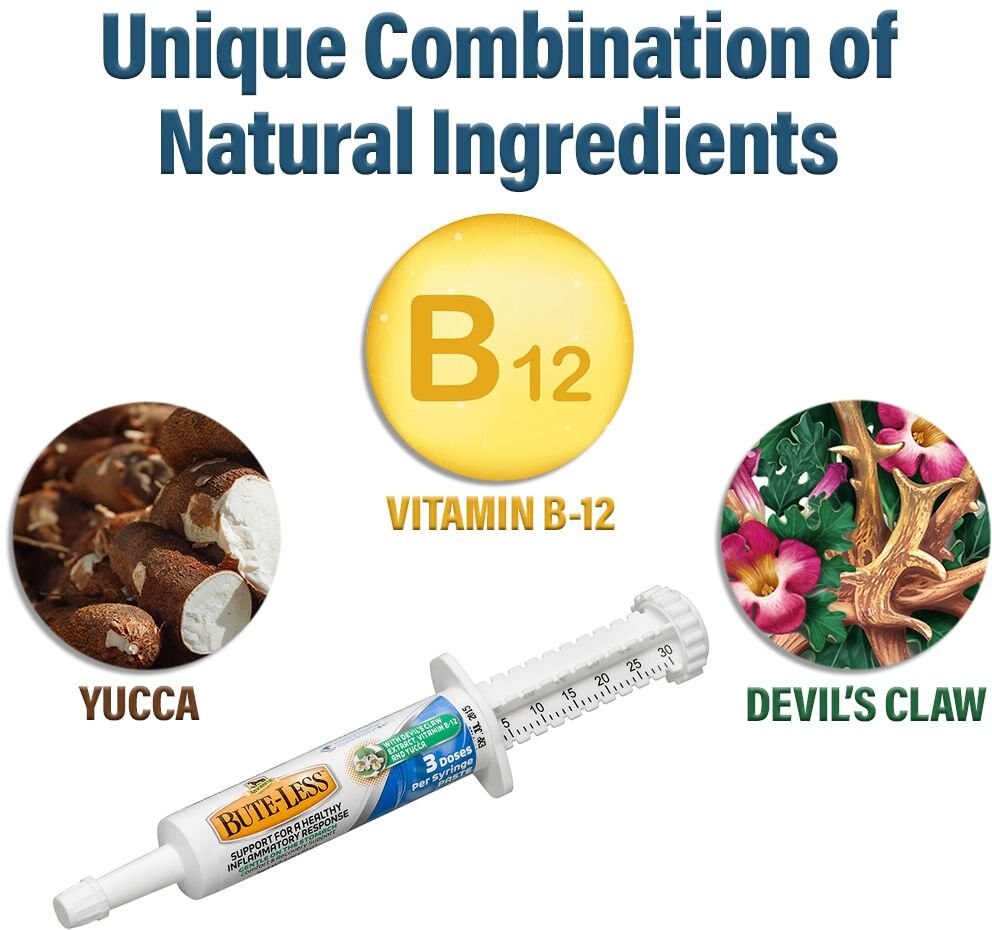 ABSORBINE ButeLess Comfort & Recovery Paste Horse Supplement, 1oz