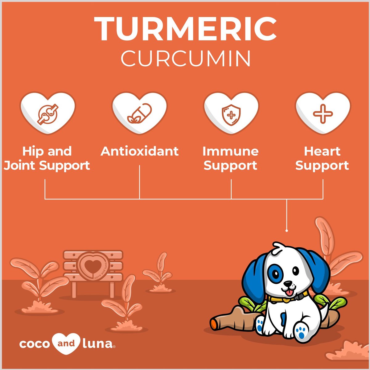 COCO AND LUNA Turmeric Curcumin AntiInflammatory Bacon & Liver Flavor