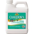Absorbine Cooldown Herbal After-Workout Sore Muscle Horse Rinse, 32-oz jug