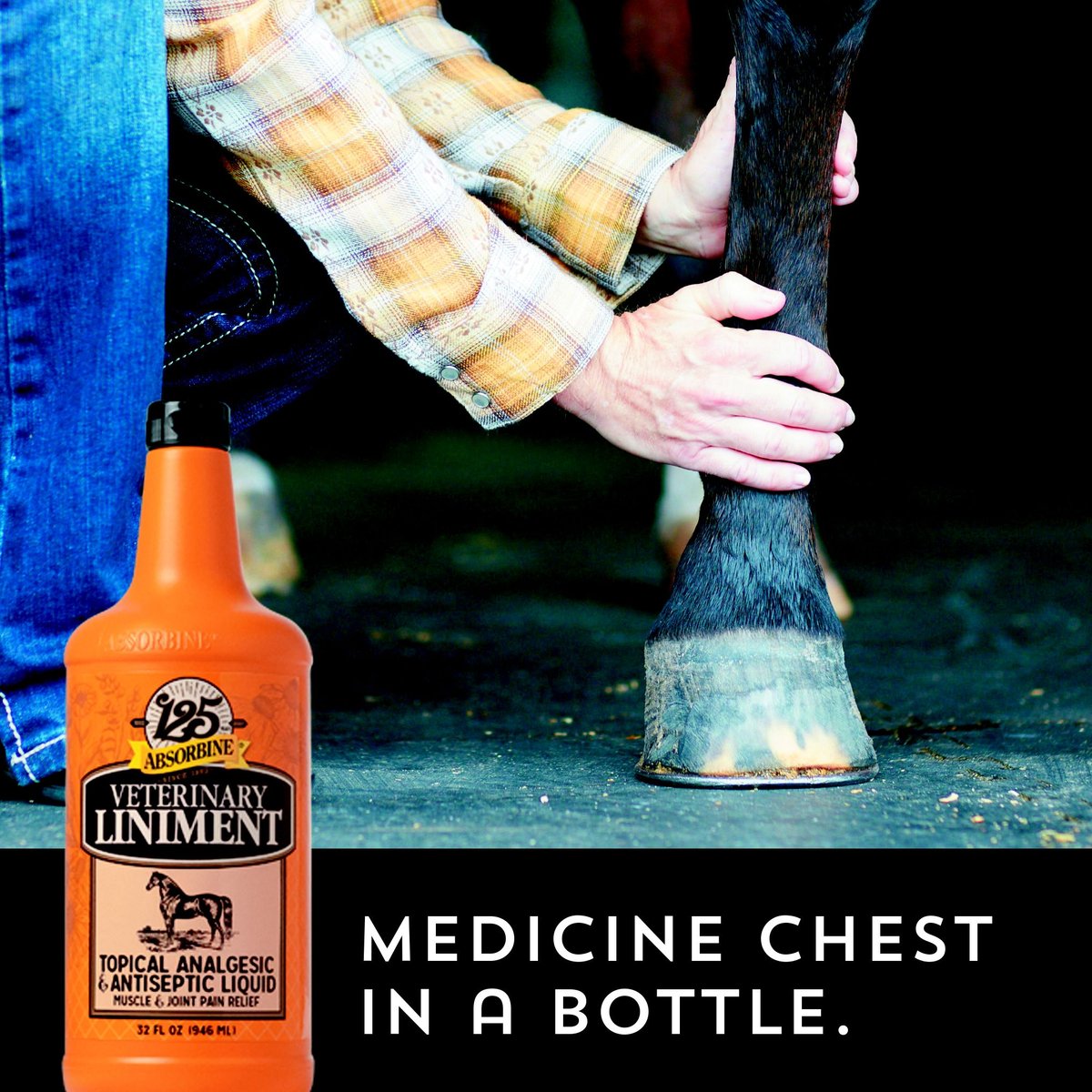ABSORBINE Veterinary Topical Analgesic & Antiseptic Horse Liniment, 16