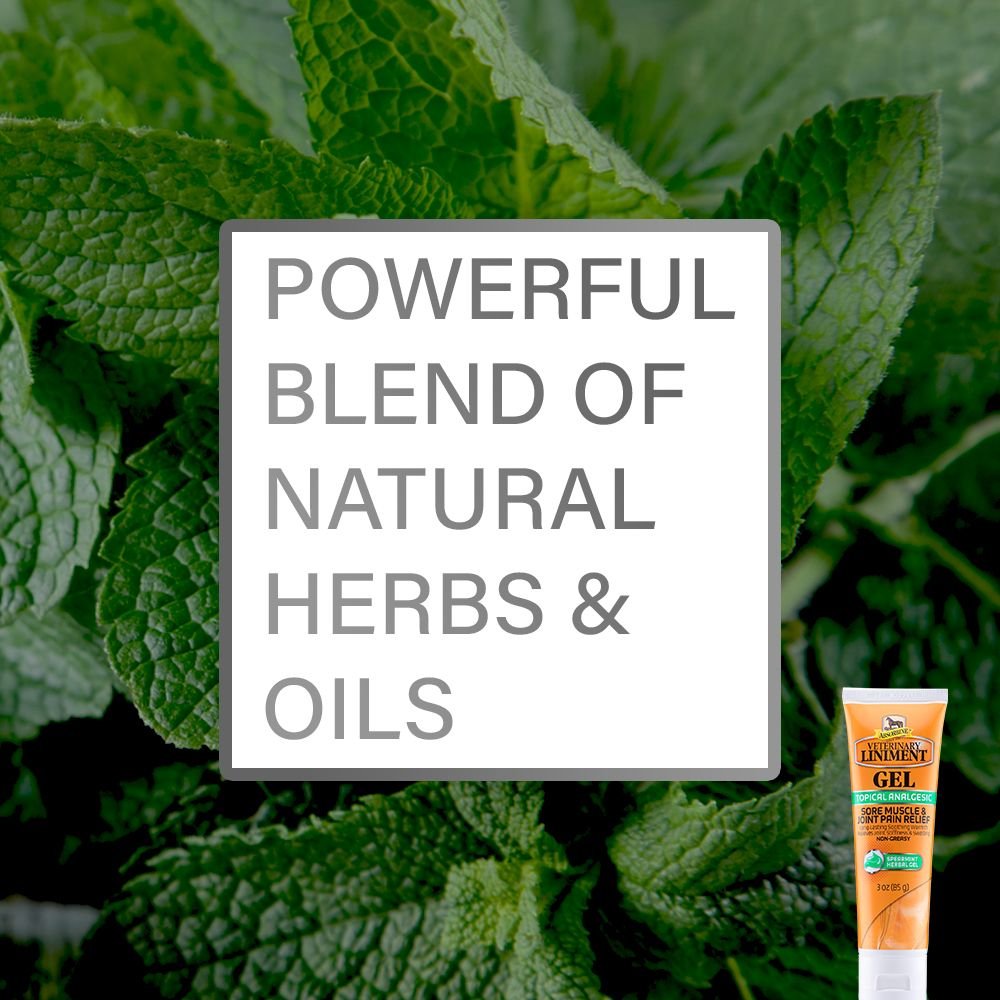 ABSORBINE Veterinary Sore Muscle & Joint Pain Relief Horse Liniment Gel