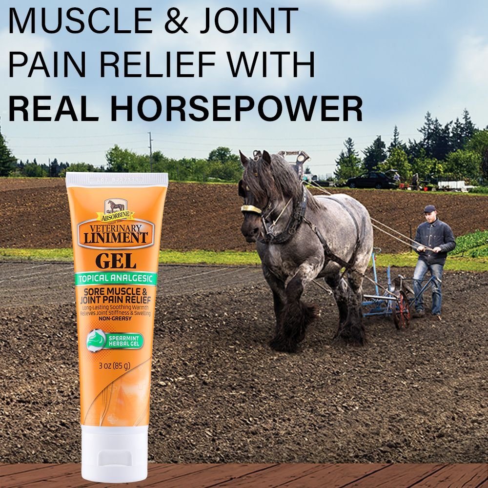 ABSORBINE Veterinary Sore Muscle & Joint Pain Relief Horse Liniment Gel