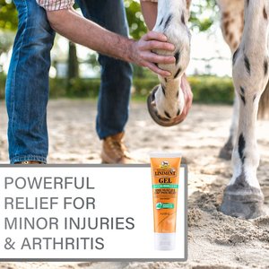 Absorbine Veterinary Sore Muscle & Joint Pain Relief Horse Liniment Gel, 3-oz tube