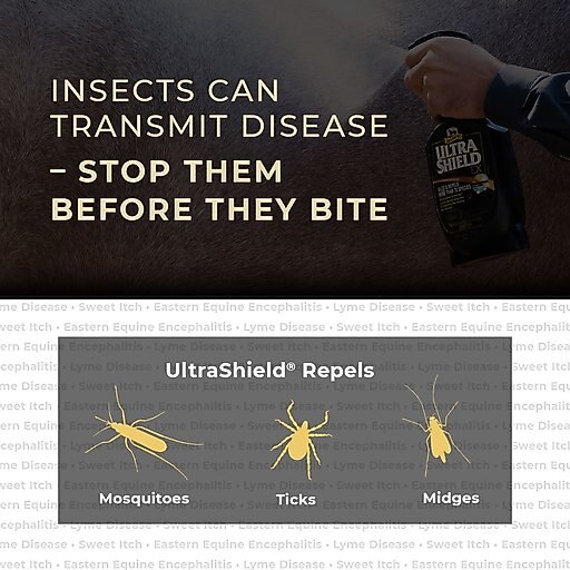 Absorbine Ultrashield EX Insecticide & Repellent Horse Spray Refill, 1-gal bottle