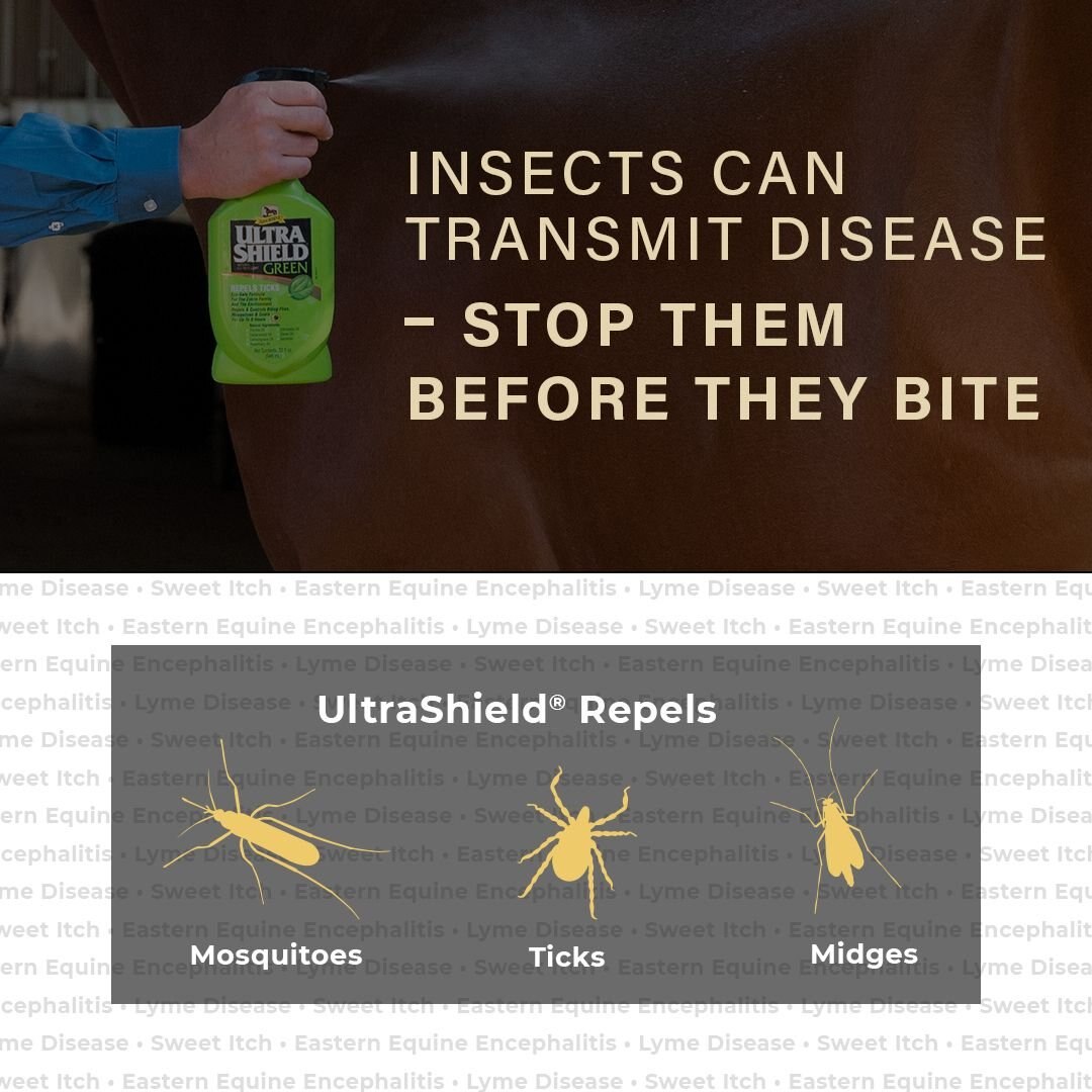 ABSORBINE Ultrashield Green Natural Fly Repellent Horse Spray Refill, 32fl oz bottle