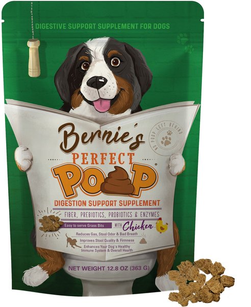 Bernie's Perfect Poop Chicken Flavor Digestion Support Dog Supplement, 12.8-oz bag slide 1 of 11
