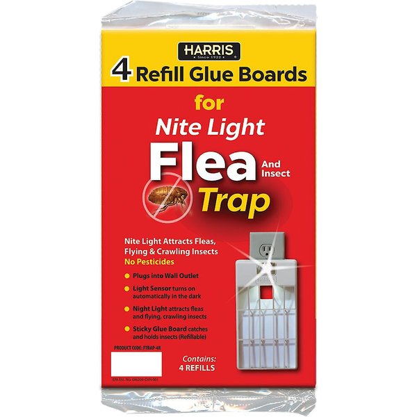  Black Flag Pantry Pest Glue Trap, 2 Count : Home Pest