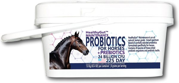 Equa Holistics HealthyGut Maintenance Probiotics Powder Horse Supplement, 63.4-oz tub slide 1 of 2
