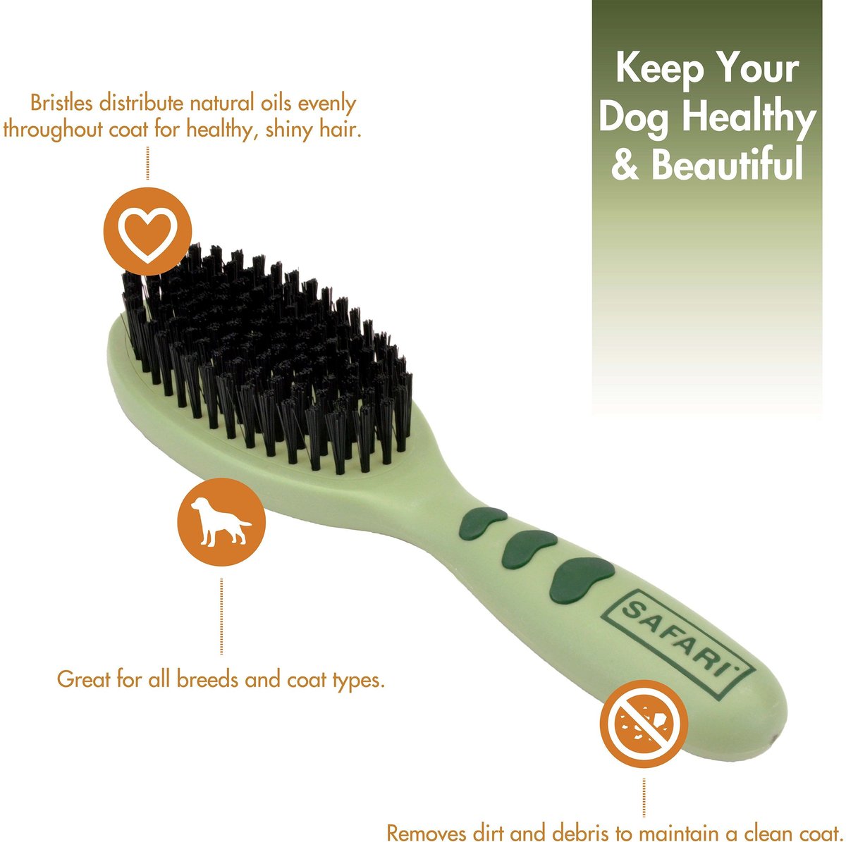 SAFARI Bristle Dog Brush, MediumLarge