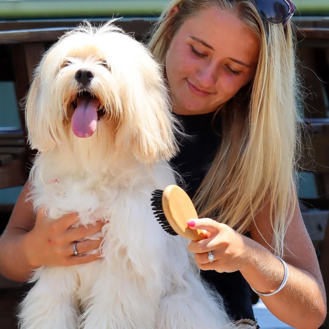 SAFARI Bamboo Bristle Dog Brush, MediumLarge