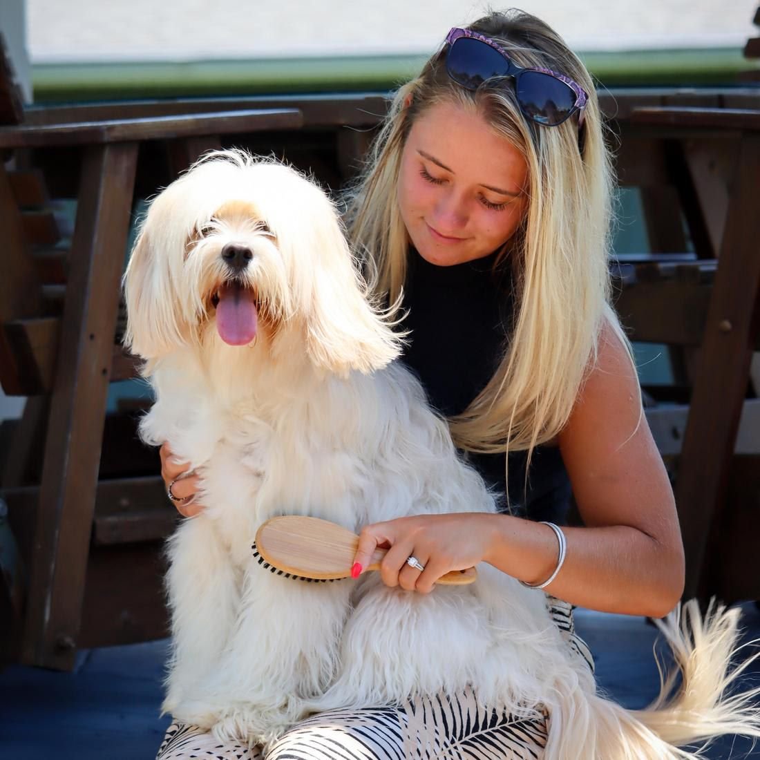 SAFARI Bamboo Bristle Dog Brush, MediumLarge