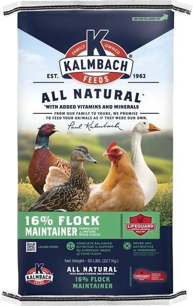 Kalmbach Feeds All Natural 16% Protein Flock Maintainer Pellet Poultry Feed, 50-lb bag slide 1 of 6