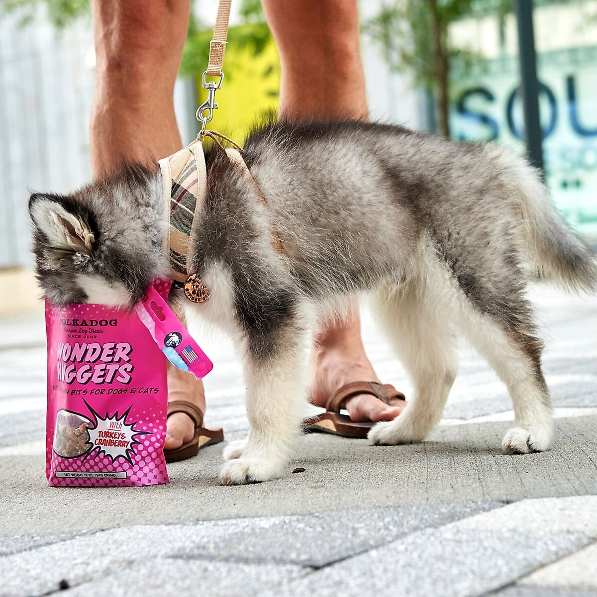 POLKADOG Wonder Nuggets Turkey & Cranberry Flavor Soft & Chewy Dog ...