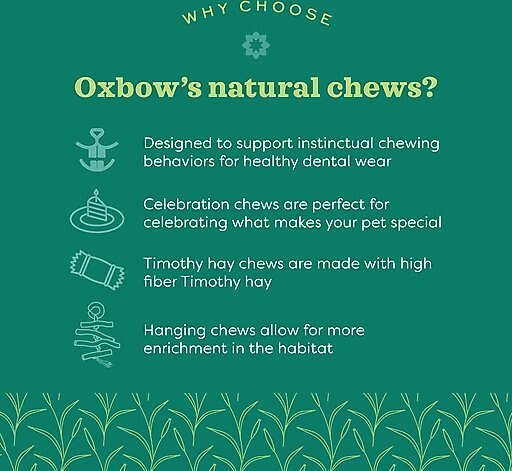 Oxbow Enriched Life Timbells Small Animal Chew Toy, 2 count