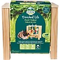 Oxbow Play Table Small Animal Toy
