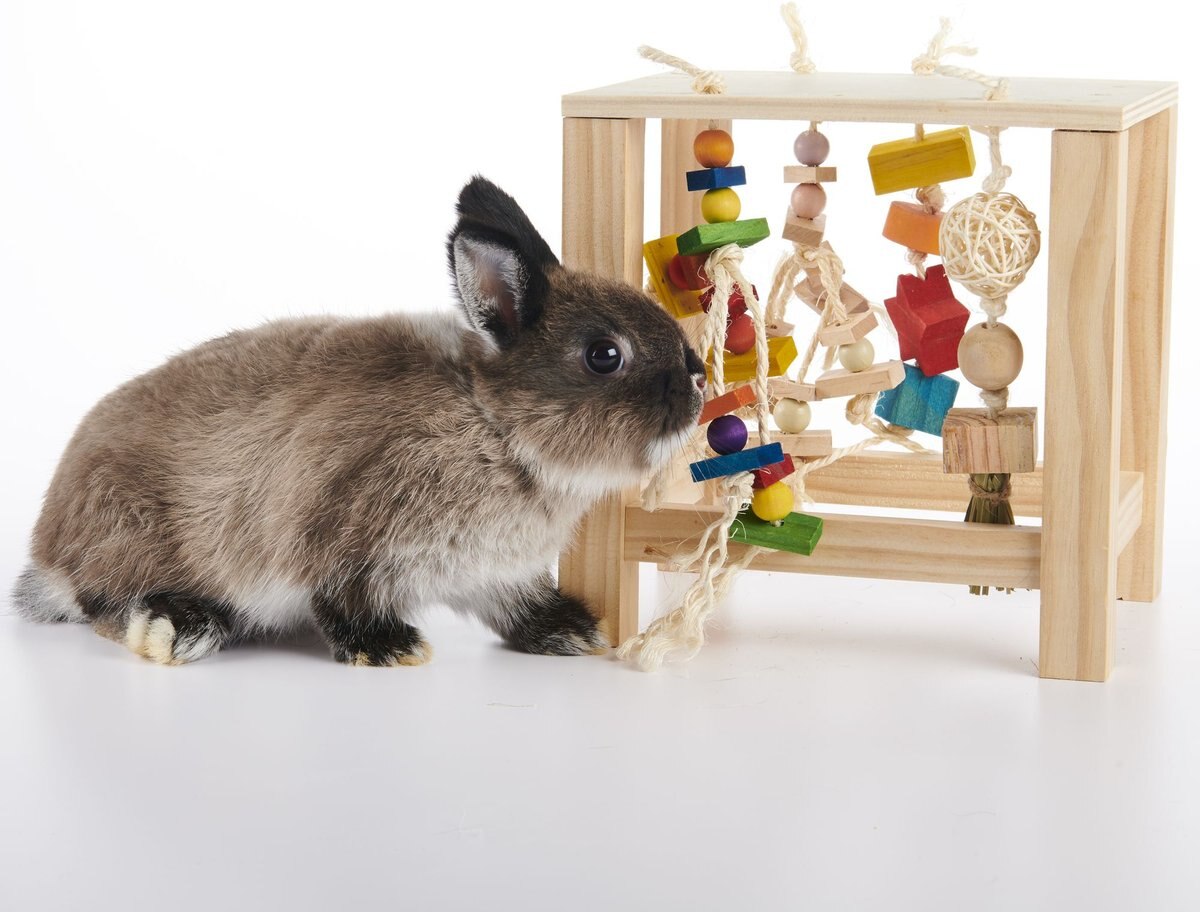 OXBOW Play Table Small Animal Toy