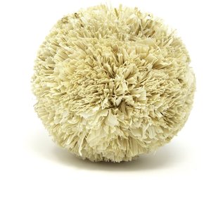 Oxbow Enriched Life Play Pom Small Animal Toy