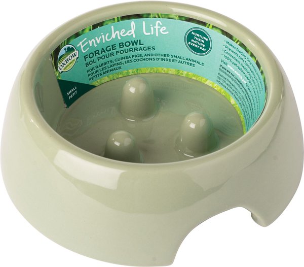 Oxbow Enriched Life Forage Small Animal Bowl, Small slide 1 of 9