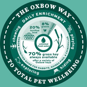 Oxbow Enriched Life Forage Small Animal Bowl, Small