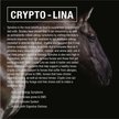 crypto aero lina