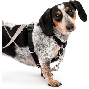 PetSafe Sure-Fit Adjustable Back Clip Dog Harness, Black, Small: 18 to 22-in chest