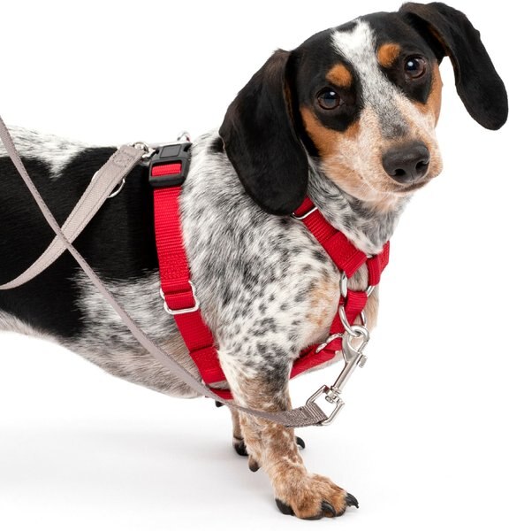 PetSafe Sure-Fit Adjustable Back Clip Dog Harness, Red, Small: 18 to 22-in chest slide 1 of 3