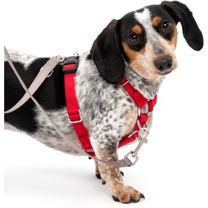 PetSafe Sure-Fit Adjustable Back Clip Dog Harness, Red, Small: 18 to 22-in chest