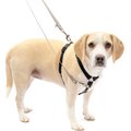 PetSafe Sure-Fit Adjustable Back Clip Dog Harness, Black, Medium: 22 to 30-in chest