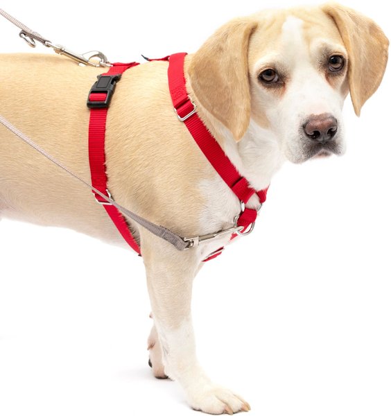 PETSAFE SureFit Adjustable Back Clip Dog Harness, Red, Medium 22 to