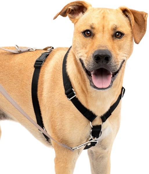 PetSafe Sure-Fit Adjustable Back Clip Dog Harness, Black, Large: 28 to 42-in chest slide 1 of 4