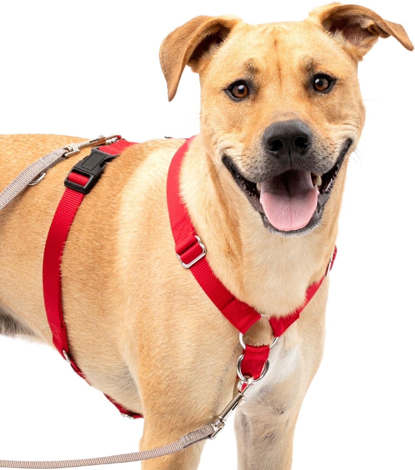 PETSAFE SureFit Adjustable Back Clip Dog Harness, Red, Large 28 to 42