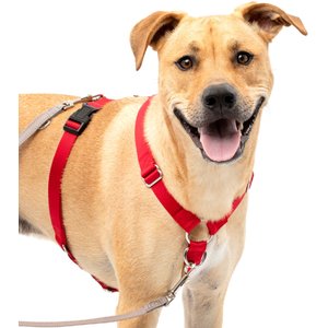 PetSafe Sure-Fit Adjustable Back Clip Dog Harness, Red, Large: 28 to 42-in chest