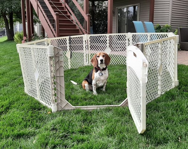 Discontinued NORTH STATES Superyard Ultimate Plastic Dog Playpen Ivory Chewy