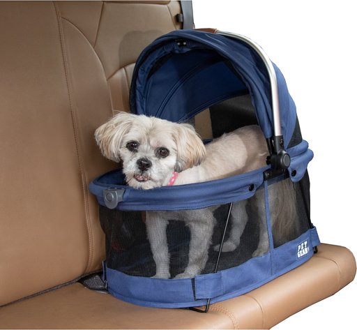 The 5 Best Chihuahua Carriers that will make your life easier