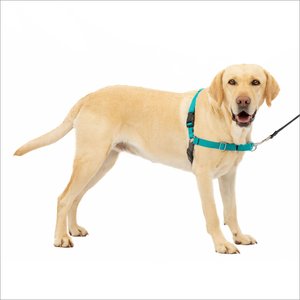 PetSafe Easy Walk Nylon No Pull Dog Harness, Teal, Large: 27 to 40-in girth