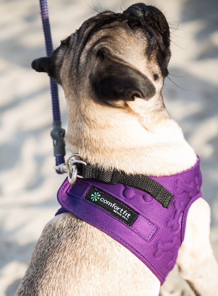 Comfort fit dog harness sale