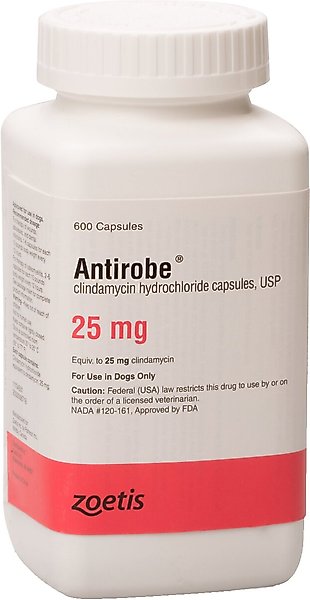 Antirobe (Clindamycin HCI) Capsules for Dogs, 25-mg, 1 capsule slide 1 of 6