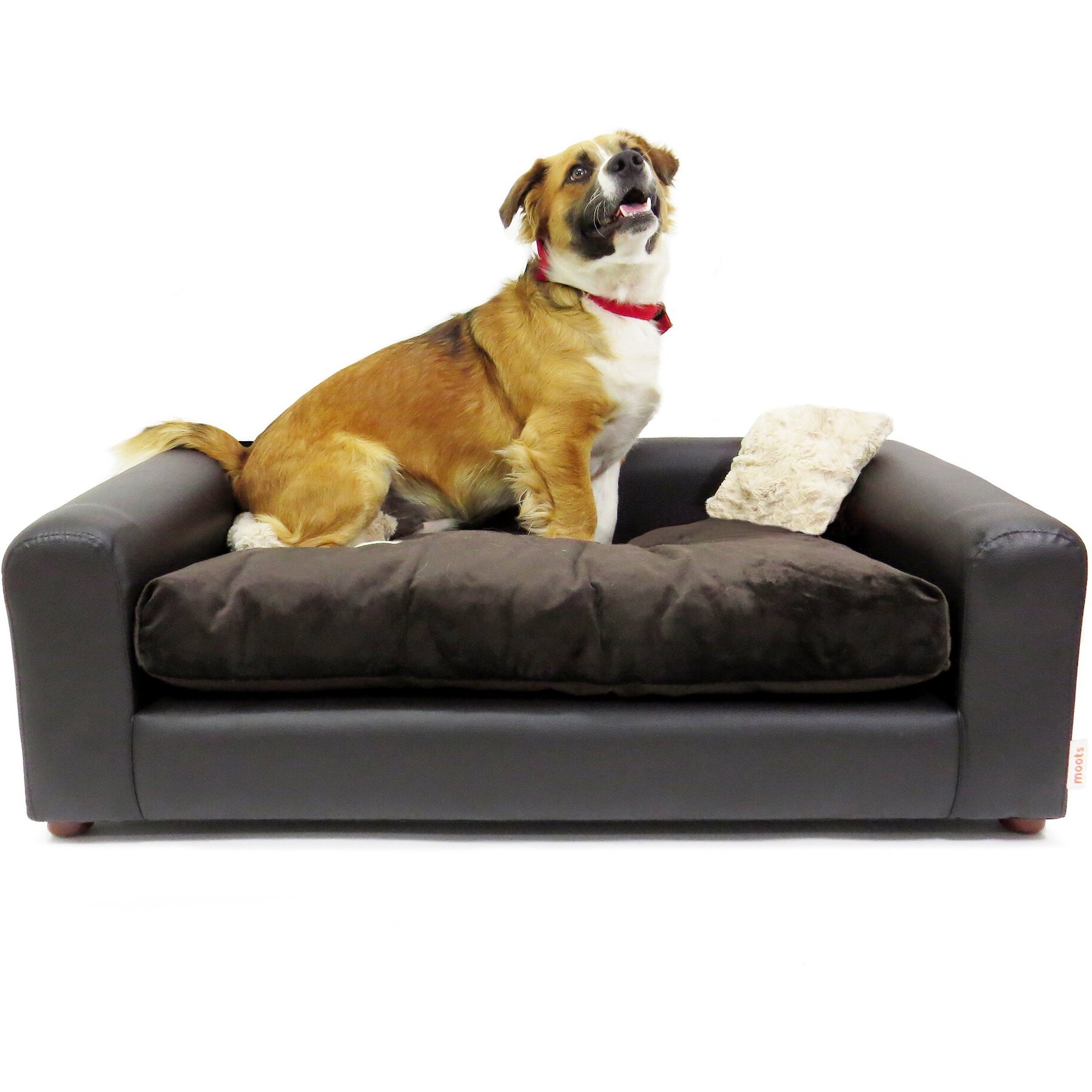 MOOTS Premium Leatherette Sofa Cat & Dog Bed w/Removable Cover
