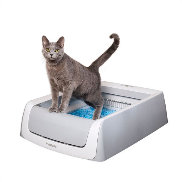 PetSafe ScoopFree Original Automatic Self-Cleaning Cat Litter Box, Gray slide 1 of 12