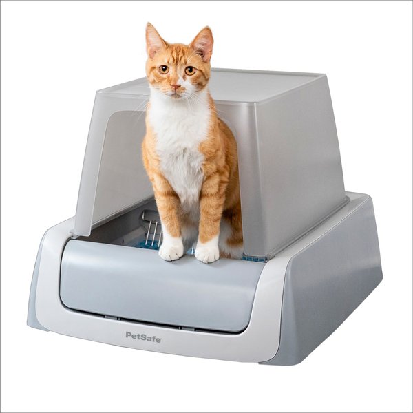 Chewy automatic 2025 cat litter box