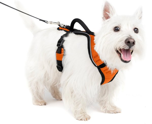 PetSafe EasySport Nylon Reflective Back Clip Dog Harness, Orange, Small: 21 to 27-in chest slide 1 of 9