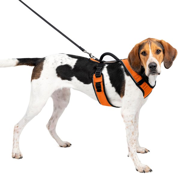 PetSafe EasySport Nylon Reflective Back Clip Dog Harness, Orange, Large: 29 to 43-in chest slide 1 of 9