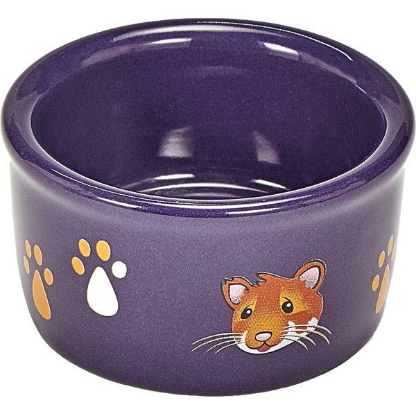 Colors Vary Kaytee Gravity Bin Feeder with Bracket 
