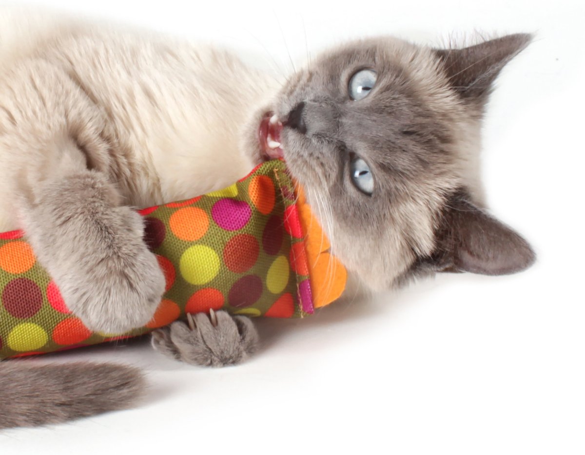 HAUSPANTHERModKicker Catnip Plush Cat Toy, Zest